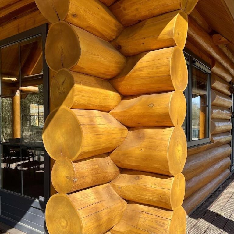 Unieke Houten Villa Met Sauna In Twente - 5P Den Ham Dış mekan fotoğraf
